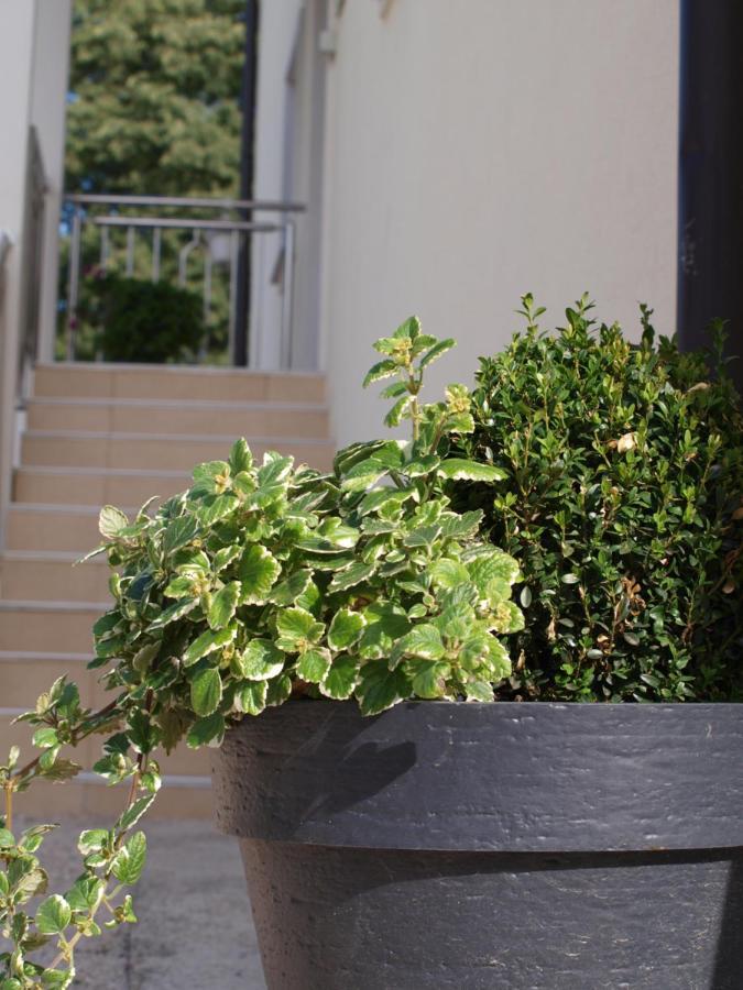 Apartments Mirasol ウマグ エクステリア 写真